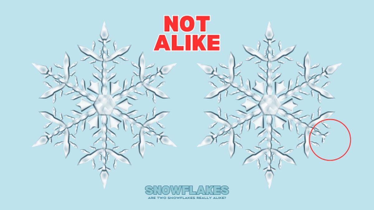 Snowflakes image number null